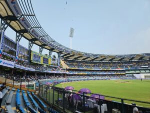cricket-img4